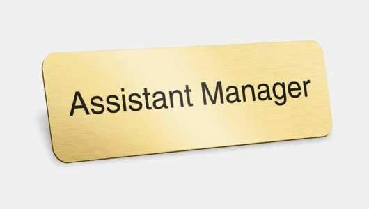 Assistant Managers